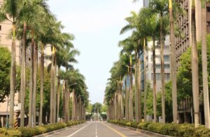 台北市場再現傳奇！仁愛路二段「震大懷喆」登場  睽違14年再現帝王座向